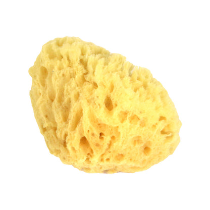 SILVANA - Natural Sponge